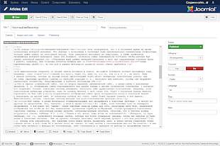 Скриншот редактора административной панели Joomla 3.9