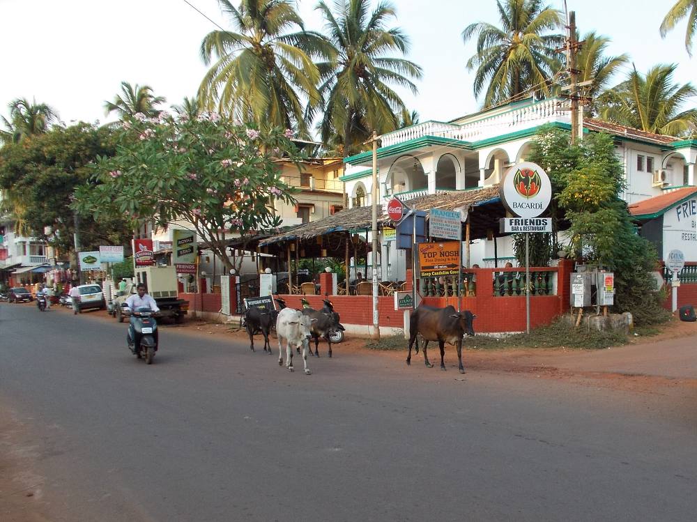 India, Goa, Candolim street 1. Кандолим (северное Гоа), центральная улица.