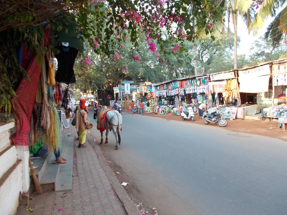 Goa, Candolim. Кандолим (северное Гоа), улица.